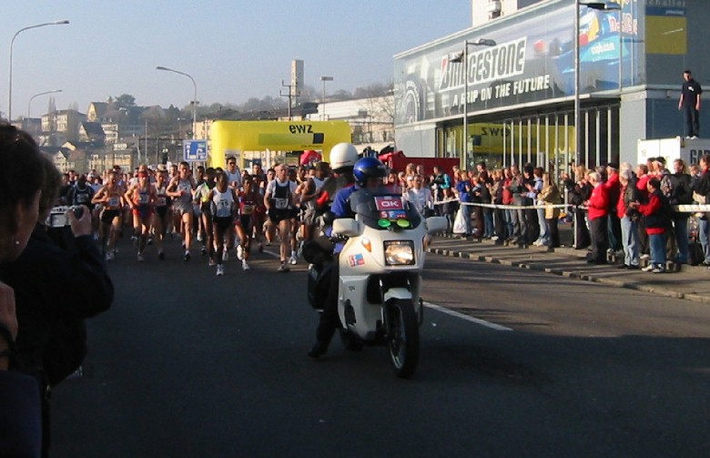 race horses at the start